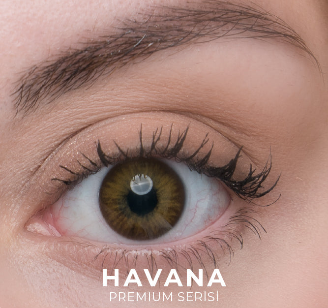 Labella Premium Renkli Lens - Aylık Numaralı Seri - La Bella